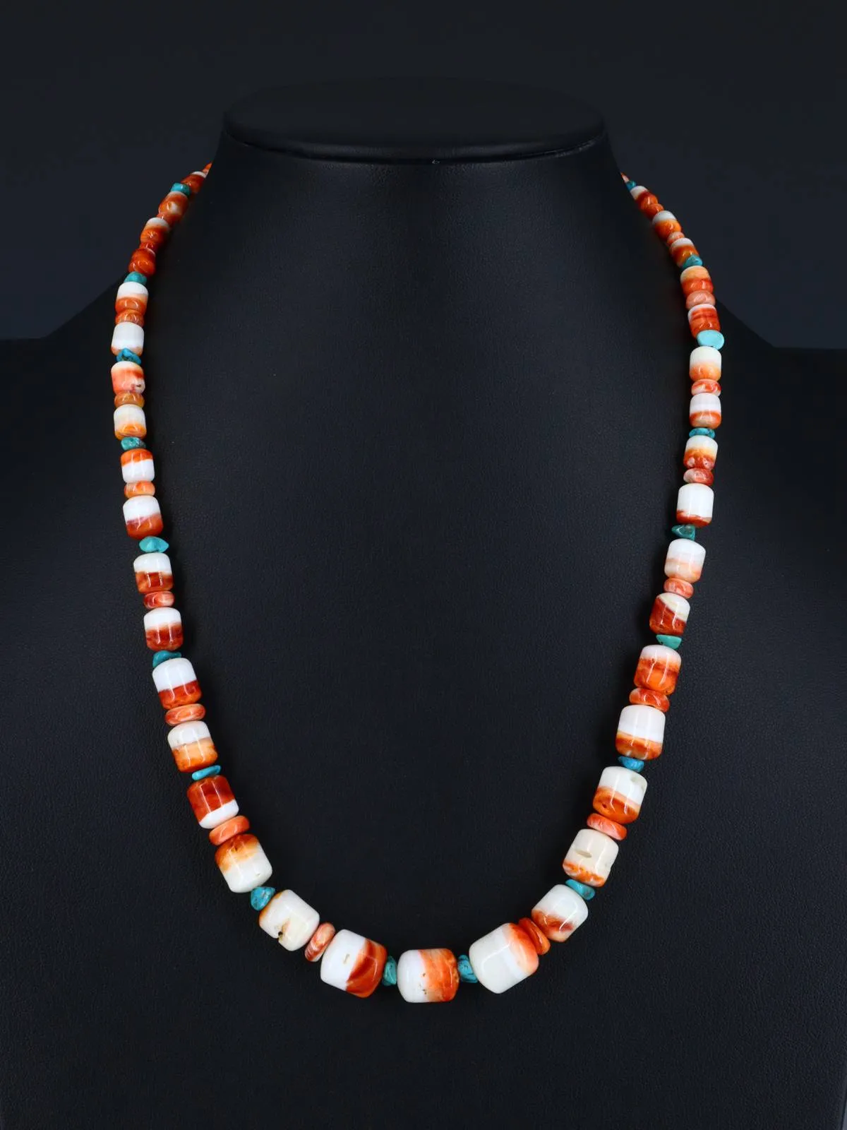 20" Navajo Single Strand Spiny Oyster and Turquoise Necklace