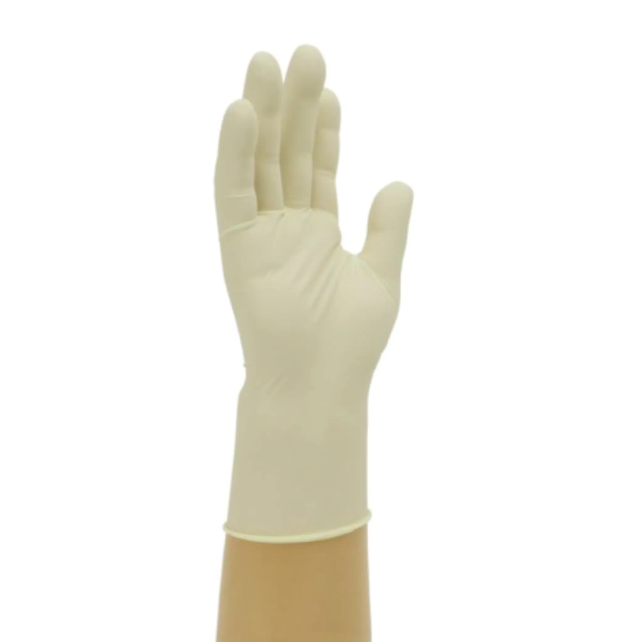 Bodyguards Powder Free Latex Disposable Gloves GL888