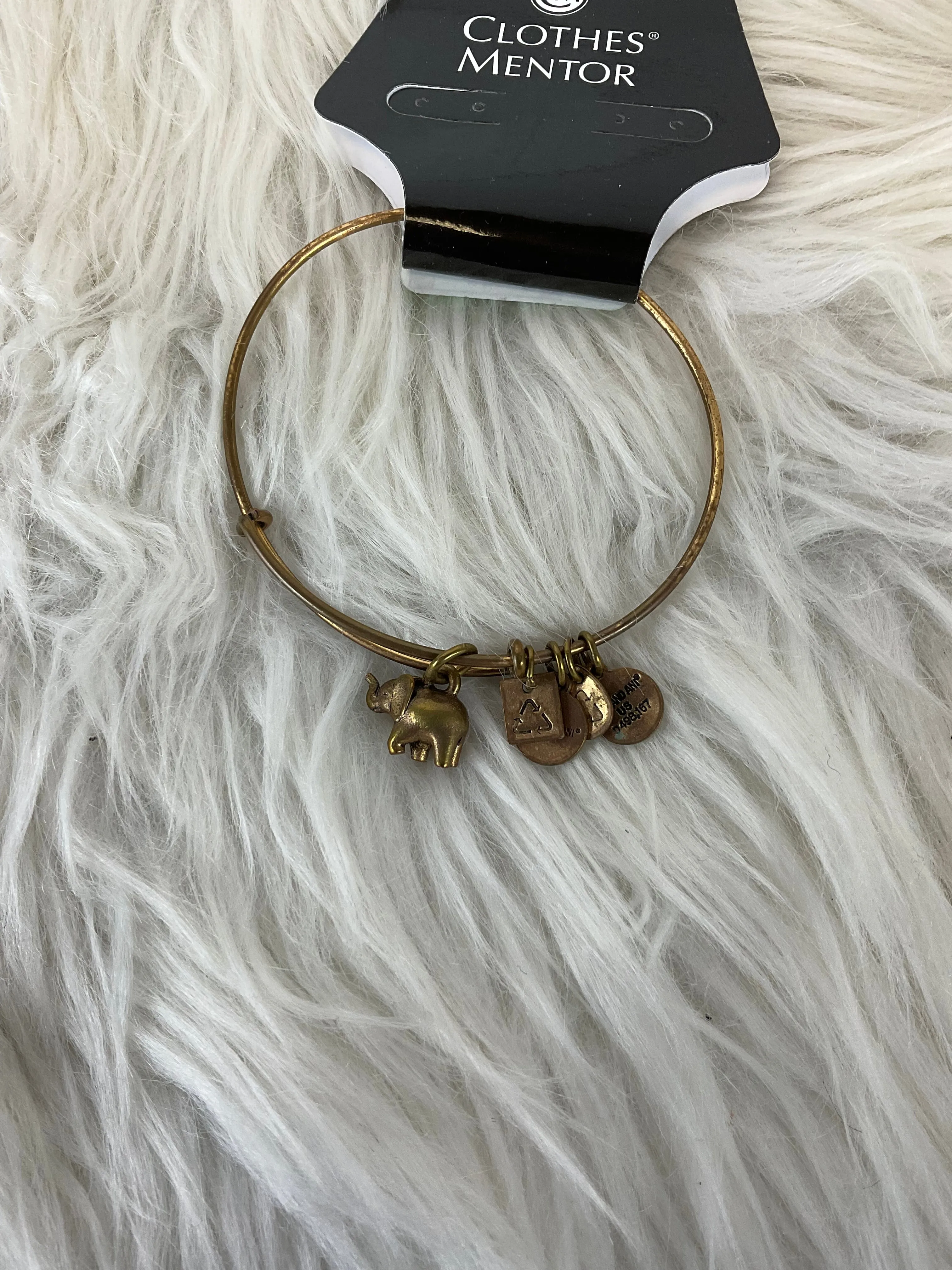 Bracelet Bangle By Alex And Ani