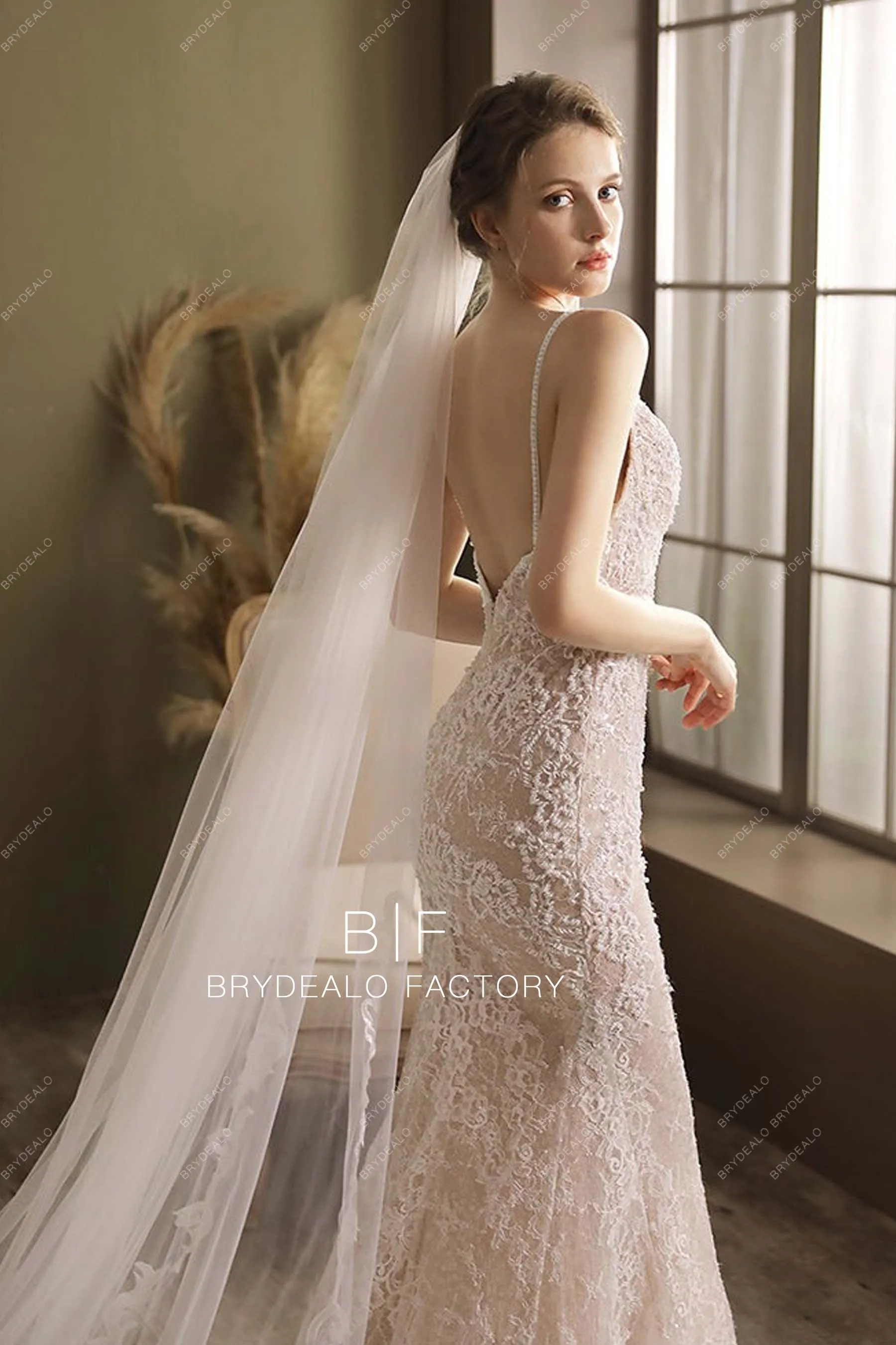 Cutout Lace Edge Bridal Veil Cathedral Length Wedding Veil