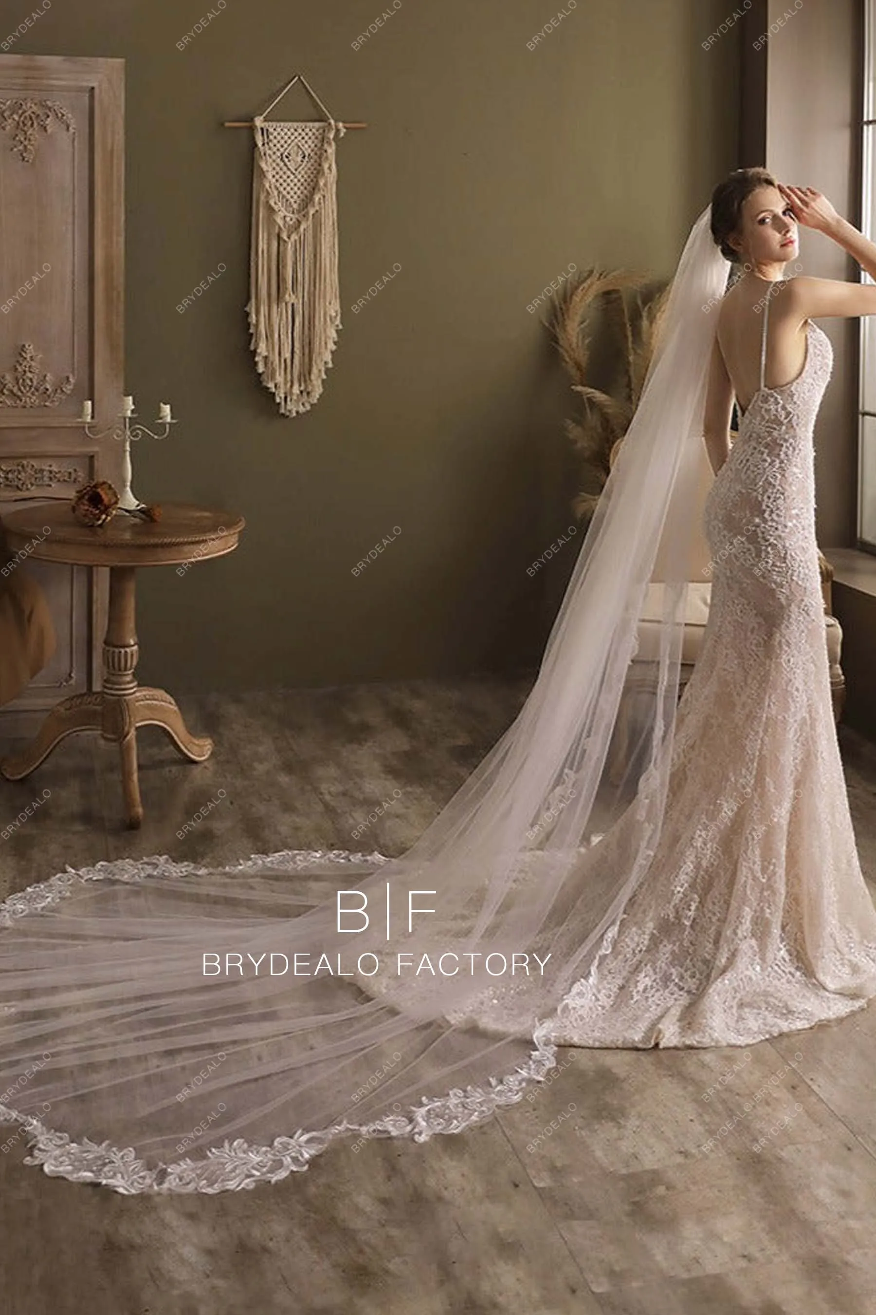 Cutout Lace Edge Bridal Veil Cathedral Length Wedding Veil