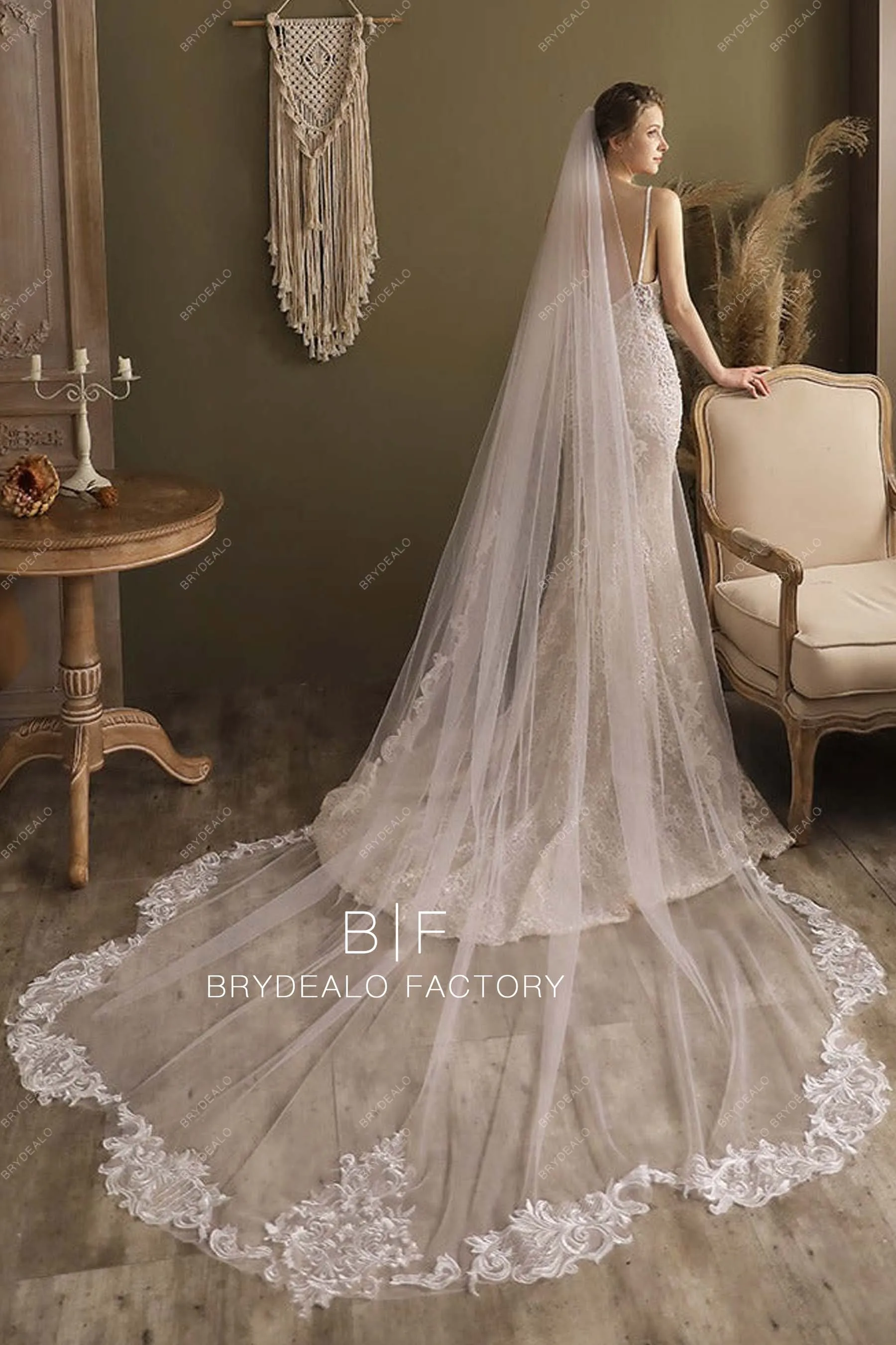 Cutout Lace Edge Bridal Veil Cathedral Length Wedding Veil