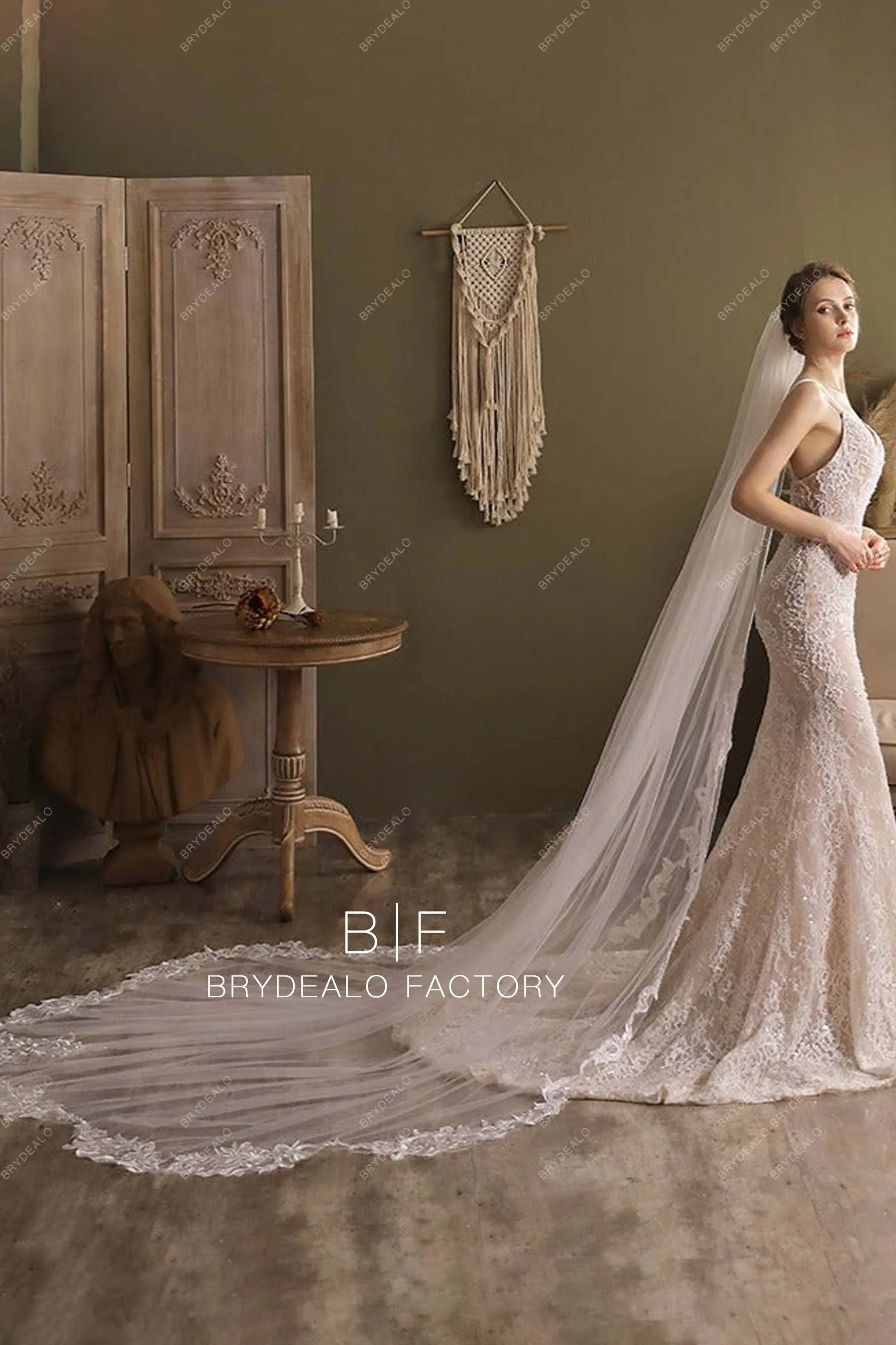 Cutout Lace Edge Bridal Veil Cathedral Length Wedding Veil