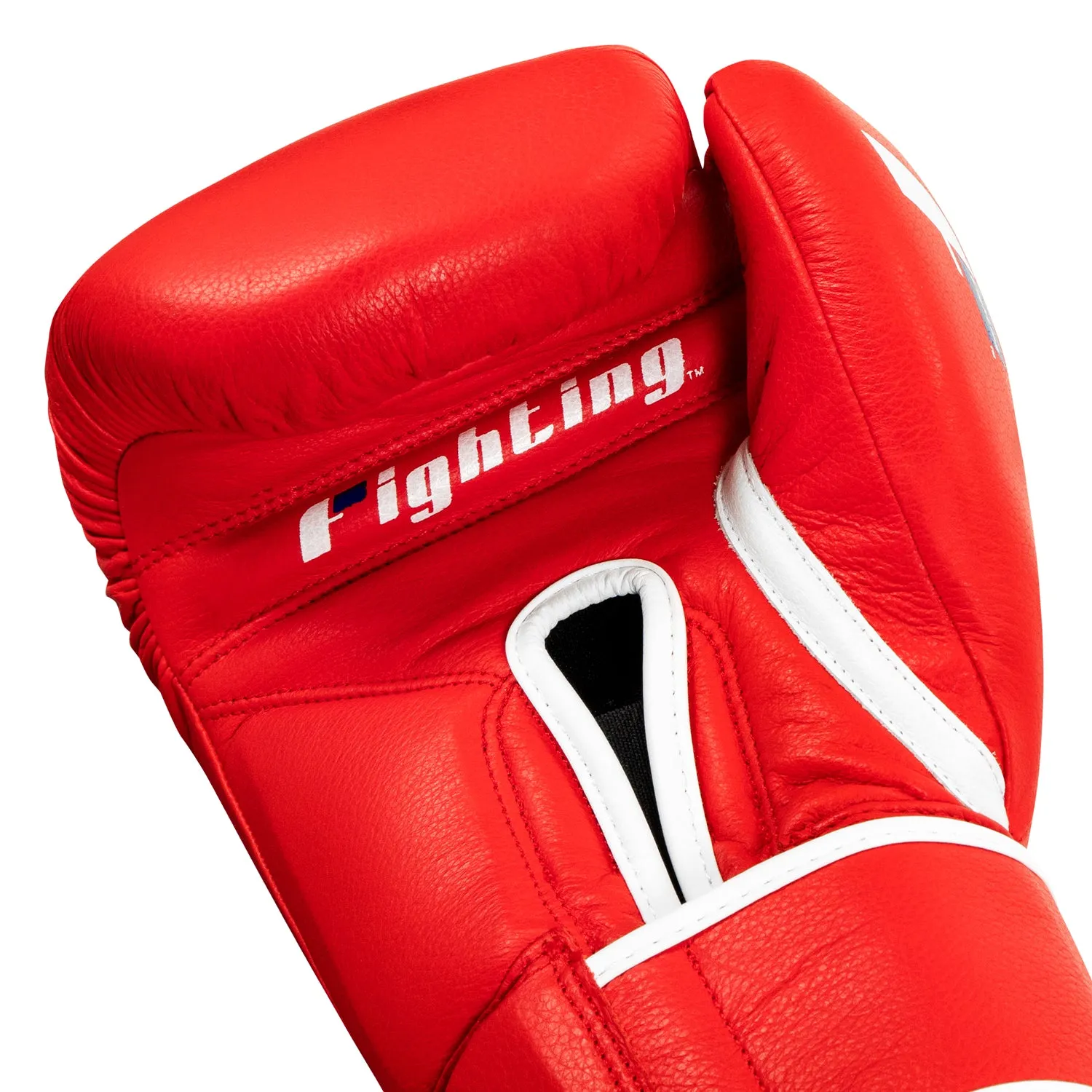 Fighting Fury Professional Training Gloves