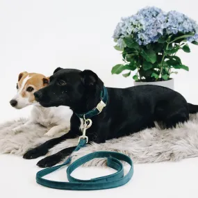 Kentucky Dogwear Velvet Dog Lead - Emerald