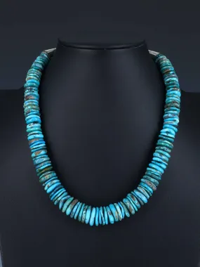 Native American Jewelry Single Strand Turquoise Necklace