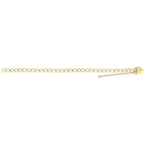 Solid Yellow Gold Ladies Charm Bracelet