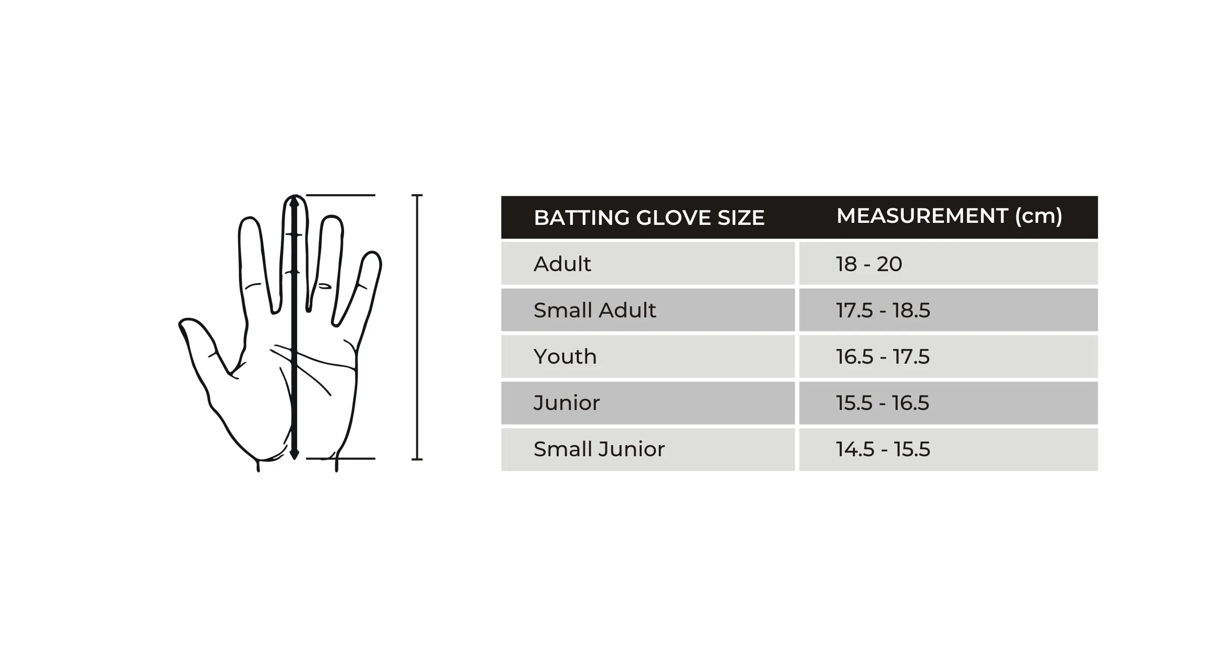 SS Test Players Cricket Batting Gloves