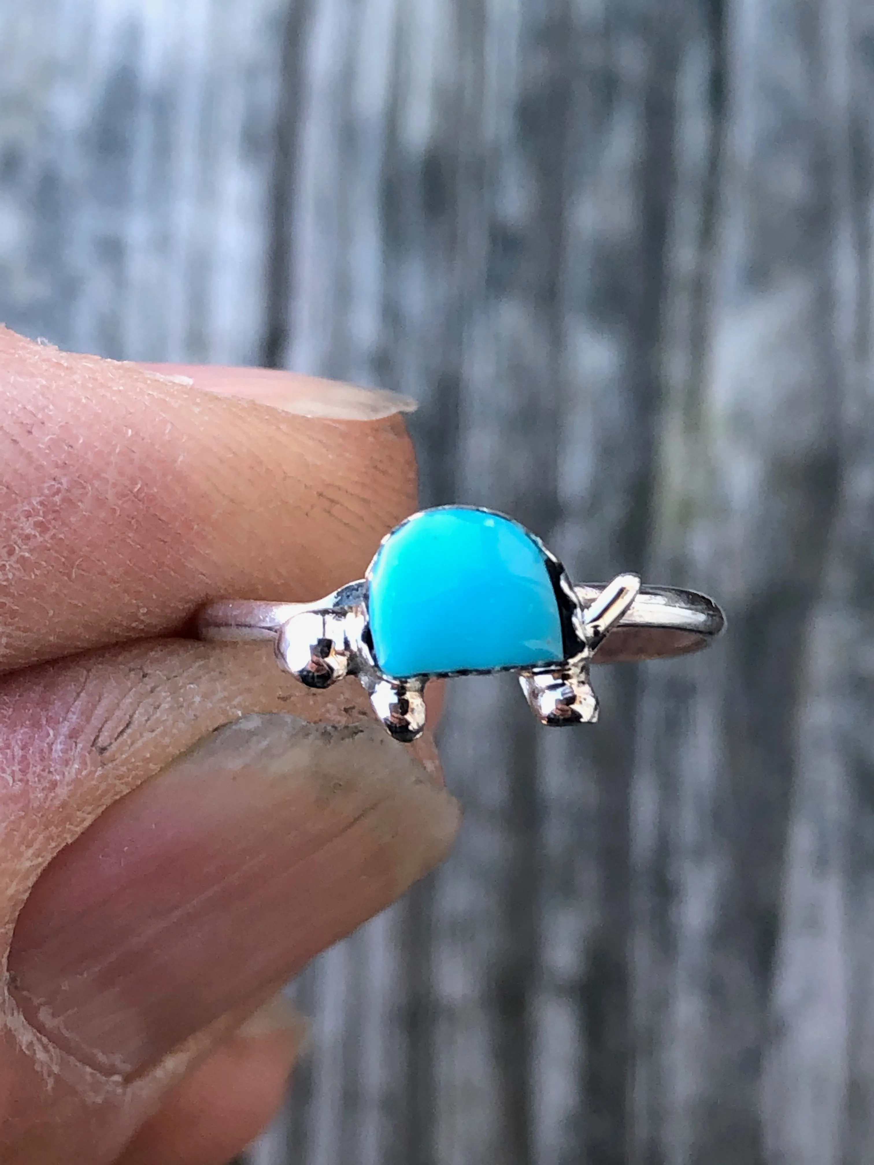 Zuni Turquoise Turtle sterling silver ring