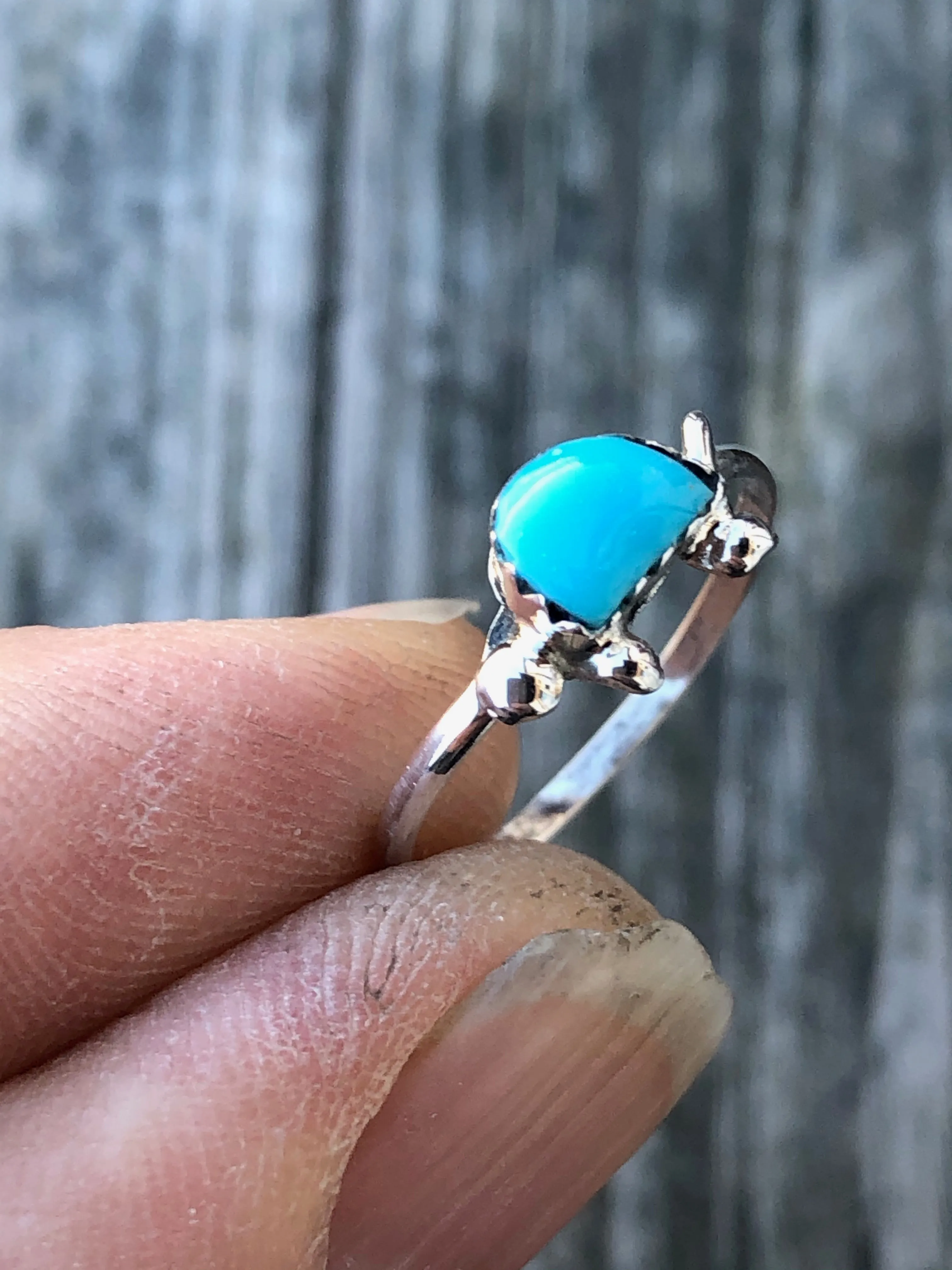 Zuni Turquoise Turtle sterling silver ring